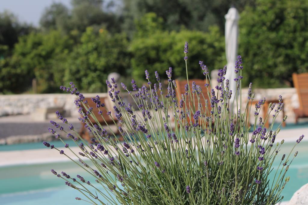 Agriturismo Masseria Saittole Carpignano Salentino Exteriér fotografie